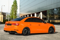 S3_Orange_Back