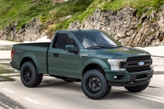 vrforged-d02-matte-black-ford-f150-green-1