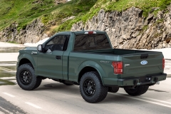 vrforged-d02-matte-black-ford-f150-green-2